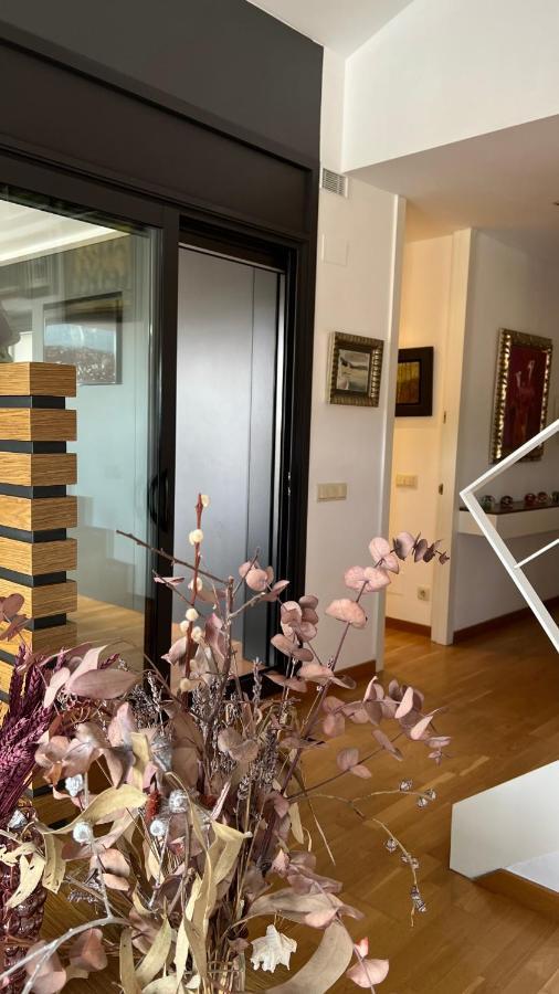 Atico De Diseno Con Terraza En El Centro De Olot 아파트 외부 사진